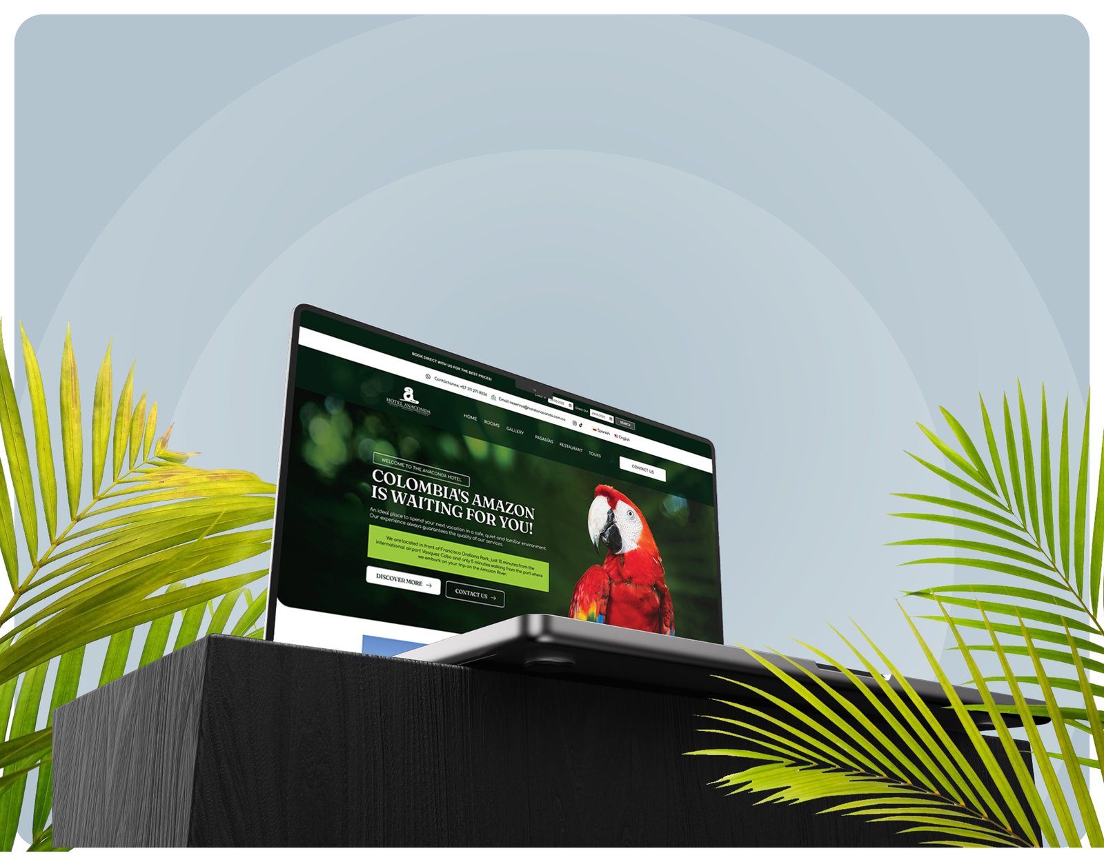 Hotel Anaconda - Luminia Marketing Solutions