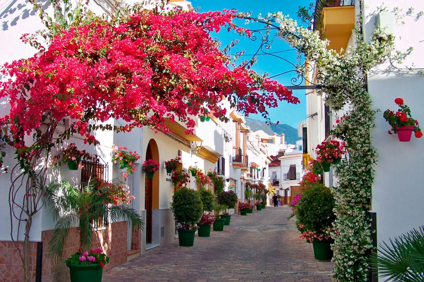 Estepona Old Town Property - Luminia Marketing Solutions